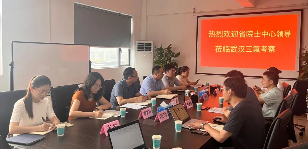 湖北省院士中心、长江科服考察武汉YP街机电子