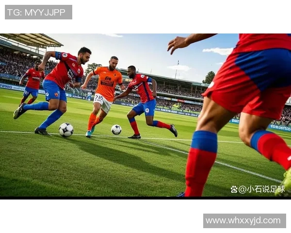 惠灵顿凤凰迎战布里斯班狮吼期待精彩对决与激烈碰撞